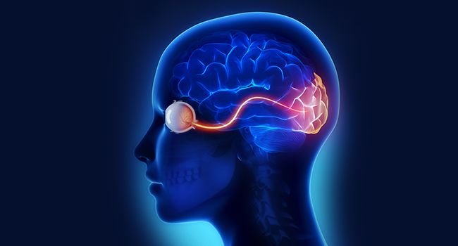 neuro-ophthalmology